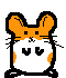 A hamster