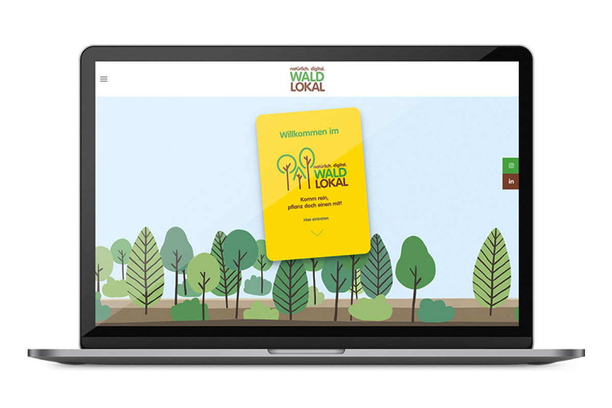 With WaldLokal, companies, associations, schools and individuals throughout Germany can contribute to reforestation.