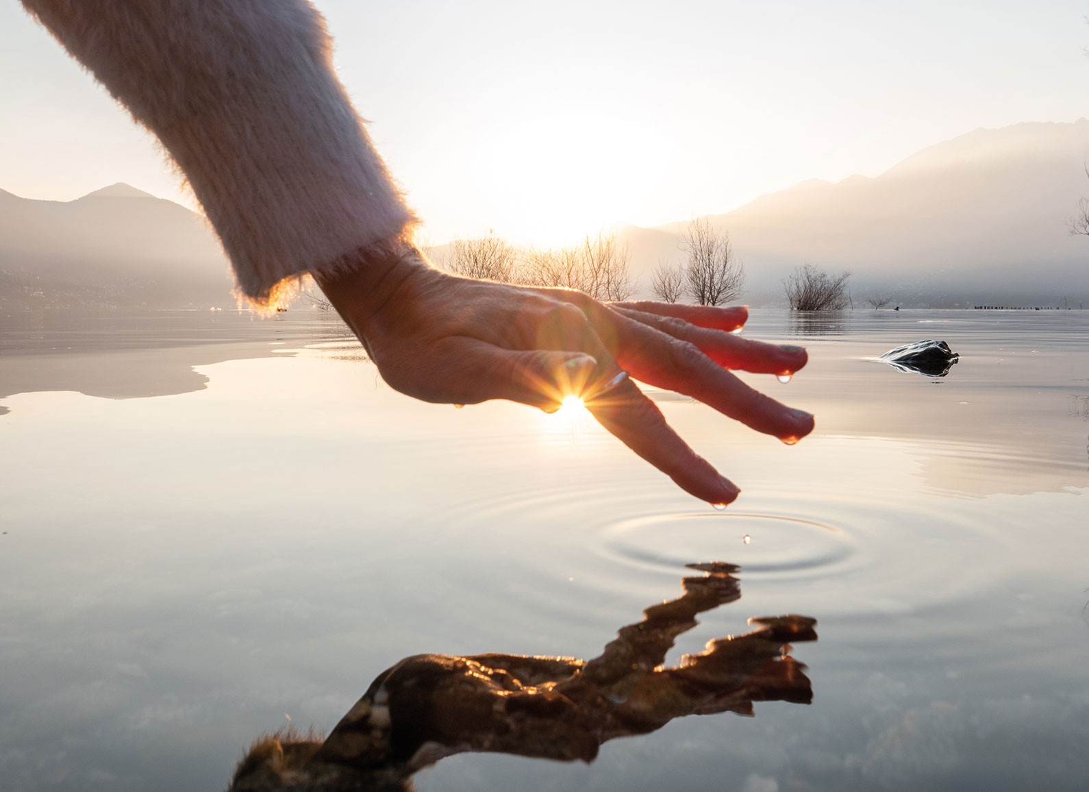 A hand touching a water surface